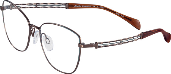 Bildangaben anzeigen